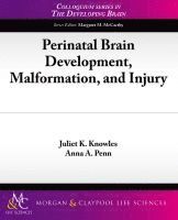 bokomslag Perinatal Brain Development, Malformation, and Injury