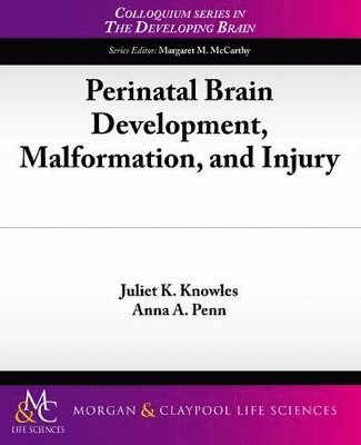 Anne Penn, Juliet Knowles, Juliet K. Knowles, Anna A. Penn - Perinatal Brain Development, Malformation, and Injury, Häftad