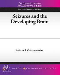 bokomslag Seizures and the Developing Brain