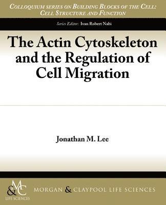 bokomslag Actin Cytoskeleton and the Regulation of Cell Migration