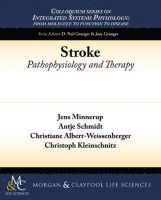 Jens Minnerup, Antje Schmidt, Christiane Albert-Weissenberger, Christoph Kleinschnitz - Stroke, Häftad