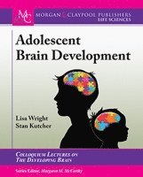 bokomslag Adolescent Brain Development