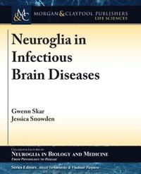 bokomslag Neuroglia in Infectious Brain Diseases