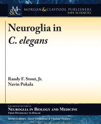 bokomslag Neuroglia in C. elegans
