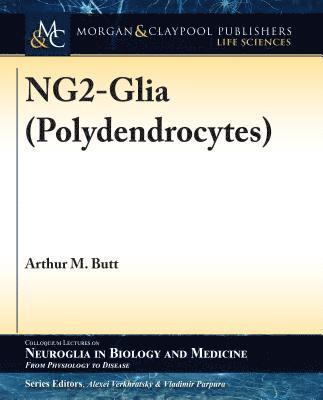 NG2-Glia (Polydendrocytes)