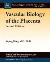 Yuping Wang, D. Neil Granger, Joey P. Granger - Vascular Biology of the Placenta, Häftad