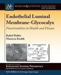 bokomslag Endothelial Luminal Membrane-Glycocalyx