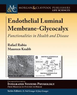Rafael Rubio, Maureen Knabb, D Neil Granger - Endothelial Luminal Membrane-Glycocalyx, Inbunden