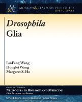 bokomslag Drosophila Glia