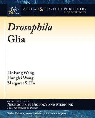 Drosophila Glia 1