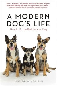 bokomslag A Modern Dog's Life: How to Do the Best for Your Dog