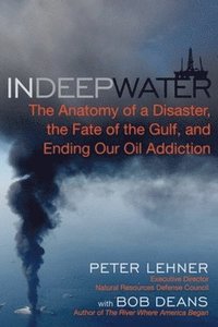 bokomslag In Deep Water: The Anatomy of a Disaster, the Fate of the Gulf, and Ending Our Oil Addiction