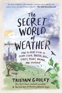 bokomslag The Secret World of Weather: How to Read Signs in Every Cloud, Breeze, Hill, Street, Plant, Animal, and Dewdrop