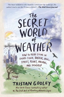 bokomslag The Secret World of Weather