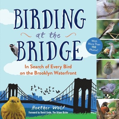 Birding at the Bridge 1