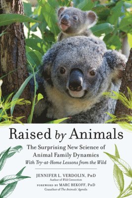bokomslag Raised by Animals: The Surprising New Science of Animal Family Dynamics