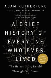 bokomslag A Brief History of Everyone Who Ever Lived: The Human Story Retold Through Our Genes