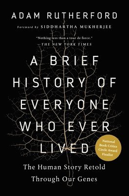 bokomslag A Brief History of Everyone Who Ever Lived: The Human Story Retold Through Our Genes