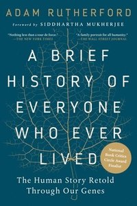 bokomslag A Brief History of Everyone Who Ever Lived: The Human Story Retold Through Our Genes