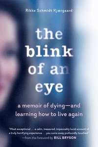 bokomslag The Blink of an Eye