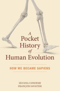 bokomslag A Pocket History of Human Evolution: How We Became Sapiens