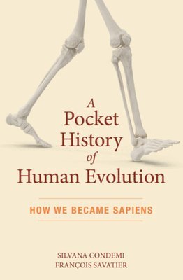 bokomslag A Pocket History of Human Evolution: How We Became Sapiens