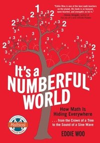 bokomslag It's a Numberful World