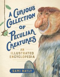 bokomslag A Curious Collection of Peculiar Creatures: An Illustrated Encyclopedia