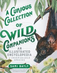 bokomslag A Curious Collection of Wild Companions: An Illustrated Encyclopedia of Inseparable Species