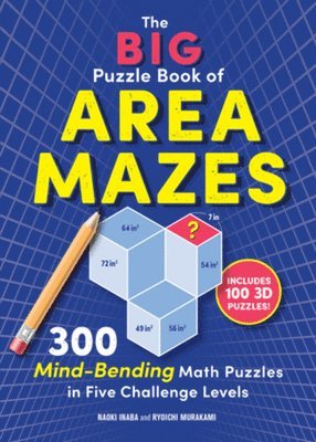 bokomslag Big Puzzle Book of Area Mazes