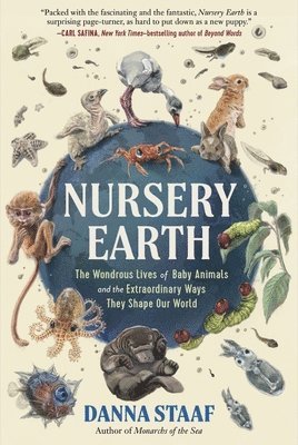 bokomslag Nursery Earth