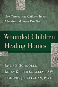 bokomslag Wounded Children, Healing Homes