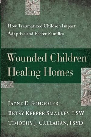 bokomslag Wounded Children, Healing Homes