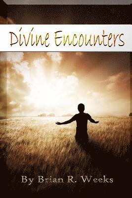 bokomslag Divine Encounters