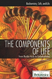 The Components of Life 1