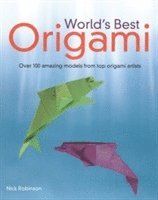 Nick Robinson - World's Best Origami, Häftad