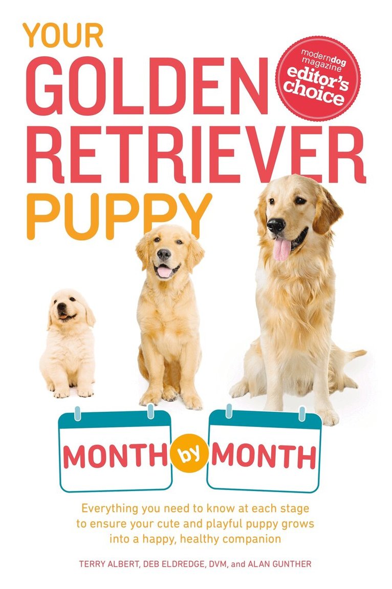 Terry Albert, Debra Eldredge DVM, Alan Gunther - Your Golden Retriever Puppy Month by Month, Häftad