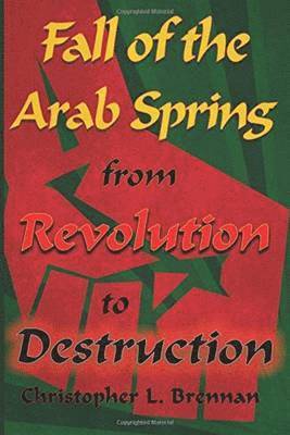 bokomslag Fall of the Arab Spring