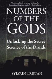 bokomslag Numbers of the Gods