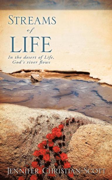 bokomslag Streams of Life