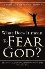 bokomslag What Does It mean To Fear God?