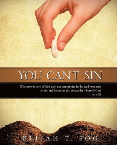 bokomslag You Can't Sin