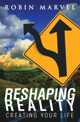 bokomslag Reshaping Reality