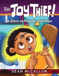 bokomslag The Joy Thief