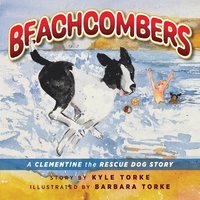 bokomslag Beachcombers