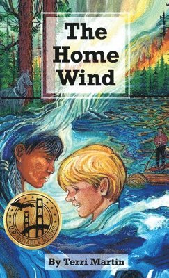 bokomslag Home Wind