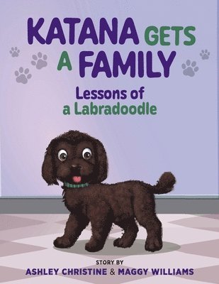 bokomslag Katana Gets a Family
