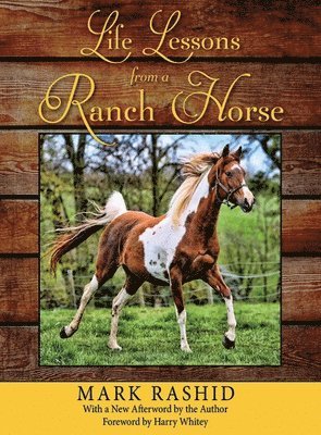 Life Lessons from a Ranch Horse 1