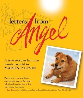 Letters from Angel 1