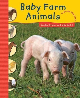 Baby Farm Animals 1